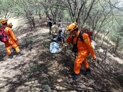 Hilang di Hutan Poboya Palu, Seorang Lansia Ditemukan Meninggal Dunia