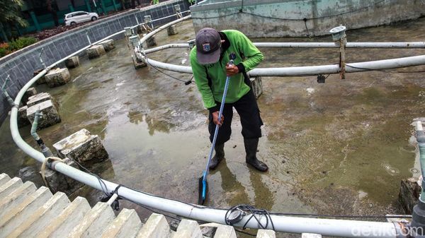 Pemeliharaan dan Perawatan Taman Kota di Tengah Pandemi