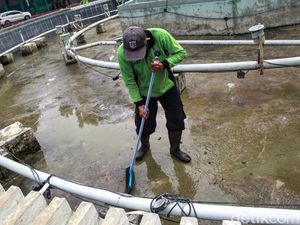 Pemeliharaan dan Perawatan Taman Kota di Tengah Pandemi