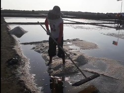 Begini Cara Dorong Swasembada Garam Versi Nelayan