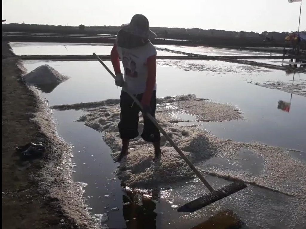 Pabrik Pengolahan Garam Rp 80 M Bakal Berdiri di Brebes Pabrik Pengolahan Garam Rp 80 M Bakal Berdiri di Brebes