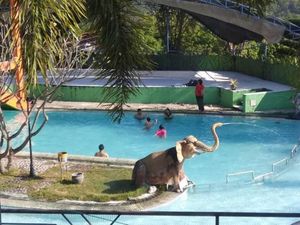 Foto: Selamat Pagi dari Lereng Gunung Wilis