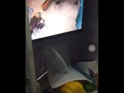 Viral Pegawai Intip Pelanggan, Instagram Starbucks Digeruduk Netizen