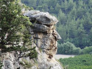 Viral, Batu Ini Disebut Mirip Donald Trump