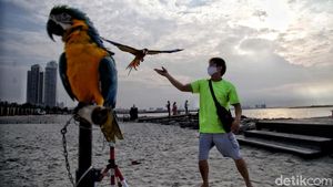 Asyiknya Menikmati Sore di Pantai Ancol