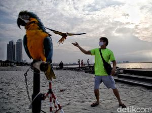 Asyiknya Menikmati Sore di Pantai Ancol