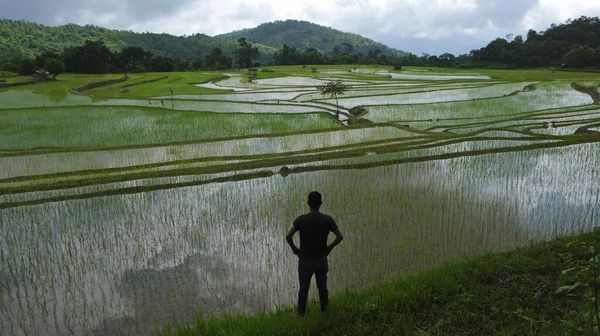 Berkebun Sayuran Jadi Hobi Baru Warga India di Era New Normal