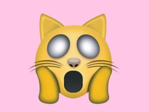 Arti Emoji Kucing, Ternyata Beda-beda!