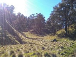 Pesona Sabana Gunung Lawu via Candi Cetho