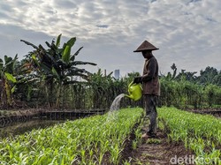 Kepunahan Tanah Jadi Ancaman Baru Ketahanan Pangan