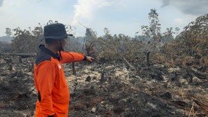 Titik-titik Api Menyala Bikin Waspada Karhutla di Tanah Sumatera