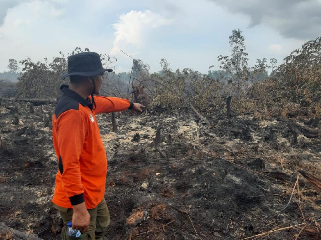 Titik-titik Api Menyala Bikin Waspada Karhutla di Tanah Sumatera Titik-titik Api Menyala Bikin Waspada Karhutla di Tanah Sumatera
