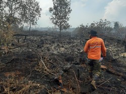 Polisi Tetapkan 3 Tersangka dari 14 Kasus Karhutla di Jambi