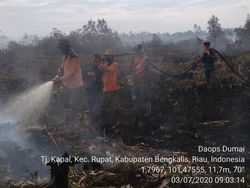 Lahan Terbakar di Riau Capai 468 Ha, 6 Orang Ditangkap