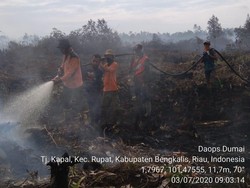 Lahan Terbakar di Riau Capai 468 Ha, 6 Orang Ditangkap