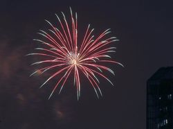 Video Kemeriahan Pesta Kemenangan di Kampung Halaman Joe Biden