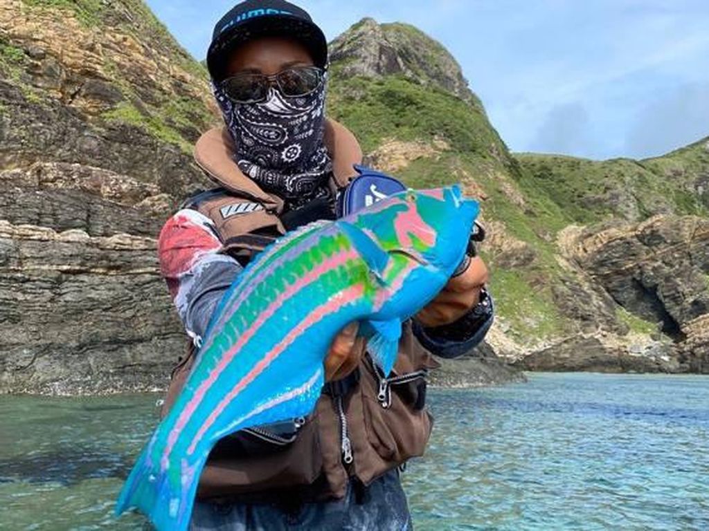 Ikan Avatar dengan Warna-warni Terang Ini Bisa Dimakan Lho! Ikan Avatar dengan Warna-warni Terang Ini Bisa Dimakan Lho!