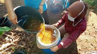 Menengok Tradisi Panen Madu di Kudus