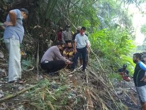 Hendak Cari Layang-layang, Warga di Badung Bali Temukan Tengkorak Manusia