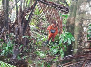 Pemuda Tersesat di Hutan Wania Timika Saat Berburu, Sempat Telepon Keluarga