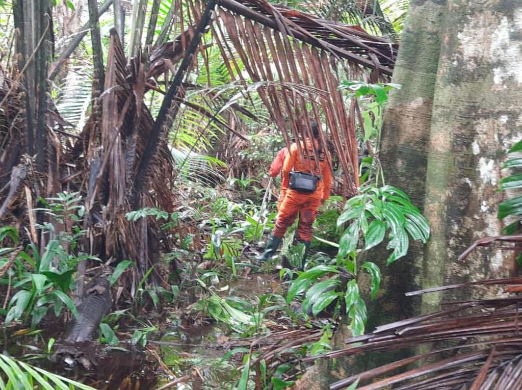 Pemuda Tersesat di Hutan Wania Timika Saat Berburu, Sempat Telepon Keluarga Pemuda Tersesat di Hutan Wania Timika Saat Berburu, Sempat Telepon Keluarga