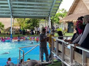 Pertahankan Status Zona Biru, Bupati Purwakarta Sidak Tempat Wisata Pertahankan Status Zona Biru, Bupati Purwakarta Sidak Tempat Wisata