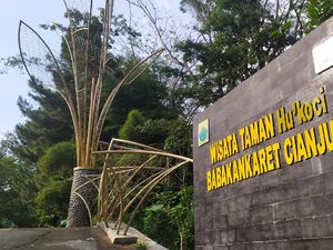 Foto: 5 Destinasi Wisata Alam Instagramable Punya Cianjur