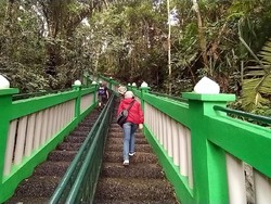 Mitos Hutan Keramat di Ciamis, Ambil Pohon Bisa Didatangi Maung