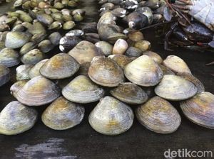 Samba Lokan Makanan Khas Mukomuko yang Berempah Lezat