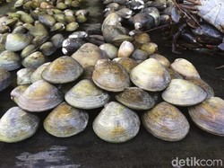 Samba Lokan Makanan Khas Mukomuko yang Berempah Lezat