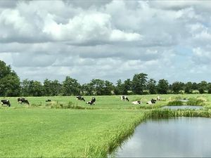 Suasana Pedesaan Belanda, Lebih Rapi & Bersih dari Indonesia