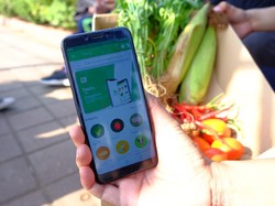 Pasar Rawan Corona, Aplikasi Jual Sayuran TaniIn Jadi Pilihan