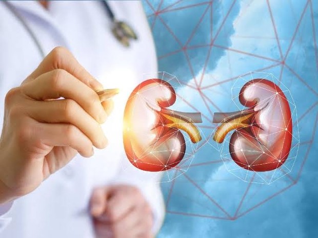 Krim pemutih mengandung merkuri yang digunakan dalam jangka panjang dapat menyebabkan kerusakan fungsi ginjal serta sistem saraf.