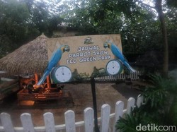 Serunya Berwisata Edukasi di Peternakan Eco Green Park