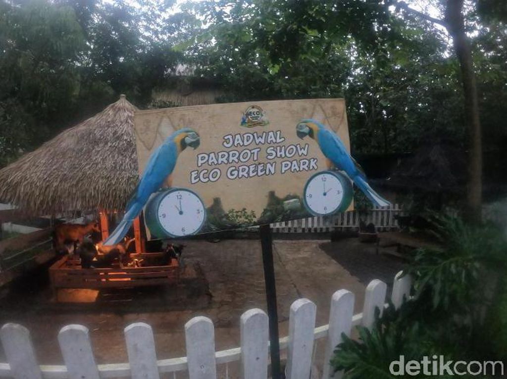Serunya Berwisata Edukasi di Peternakan Eco Green Park Serunya Berwisata Edukasi di Peternakan Eco Green Park