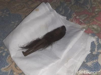 Foto-foto Jenglot yang Ditemukan di Sragen