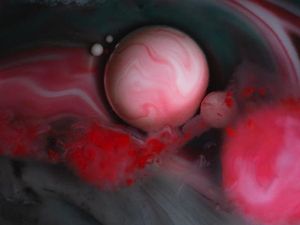 Bikin Mata Tercengang! Foto Makro Benda di Sekitar Kamu