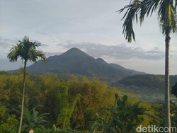 Ribuan Pendaki Peringati HUT ke-75 RI di Puncak Gunung Penanggungan