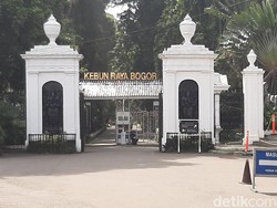 Buka Besok, Kebun Raya Bogor Hanya Layani Pembelian Tiket Online
