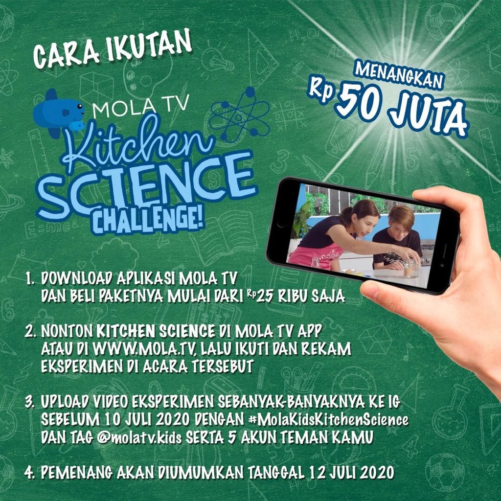 Mola TV