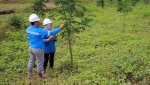 Pengembalian Fungsi Lahan Bekas Tambang