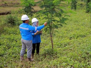 Pengembalian Fungsi Lahan Bekas Tambang
