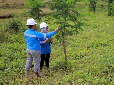 Pengembalian Fungsi Lahan Bekas Tambang
