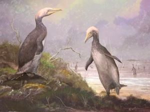 Penguin Purbakala Lebih Tinggi dari Manusia! Penguin Purbakala Lebih Tinggi dari Manusia!