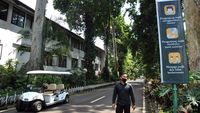 Siap-siap! Besok Kebun Raya Bogor Dibuka Lagi Lho