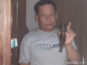 Cerita Warga yang Simpan Jenglot, Mimpi Aneh hingga Diikuti Kakek Misterius Cerita Warga yang Simpan Jenglot, Mimpi Aneh hingga Diikuti Kakek Misterius
