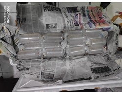 Beda Sikap, Massa Ini Sebut Larangan Ekspor Lobster Rugikan Negara