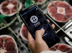 Keren! Aplikasi Ini Bisa Cek Kualitas Ikan Tuna Lewat Teknologi AI