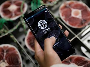 Keren! Aplikasi Ini Bisa Cek Kualitas Ikan Tuna Lewat Teknologi AI Keren! Aplikasi Ini Bisa Cek Kualitas Ikan Tuna Lewat Teknologi AI