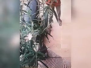 Miris! Emak-emak yang Curi Bunga di Ketandan Malioboro Bawa 2 Bocah